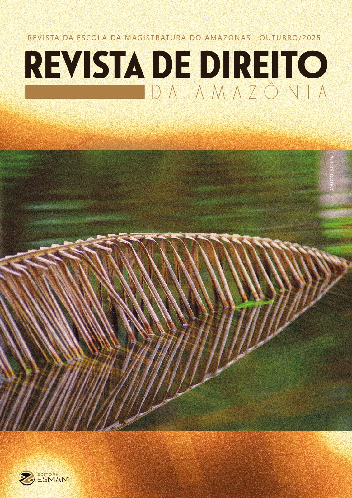 					Visualizar v. 2 n. 1 (2025): Revista de Direito da Amazônia
				